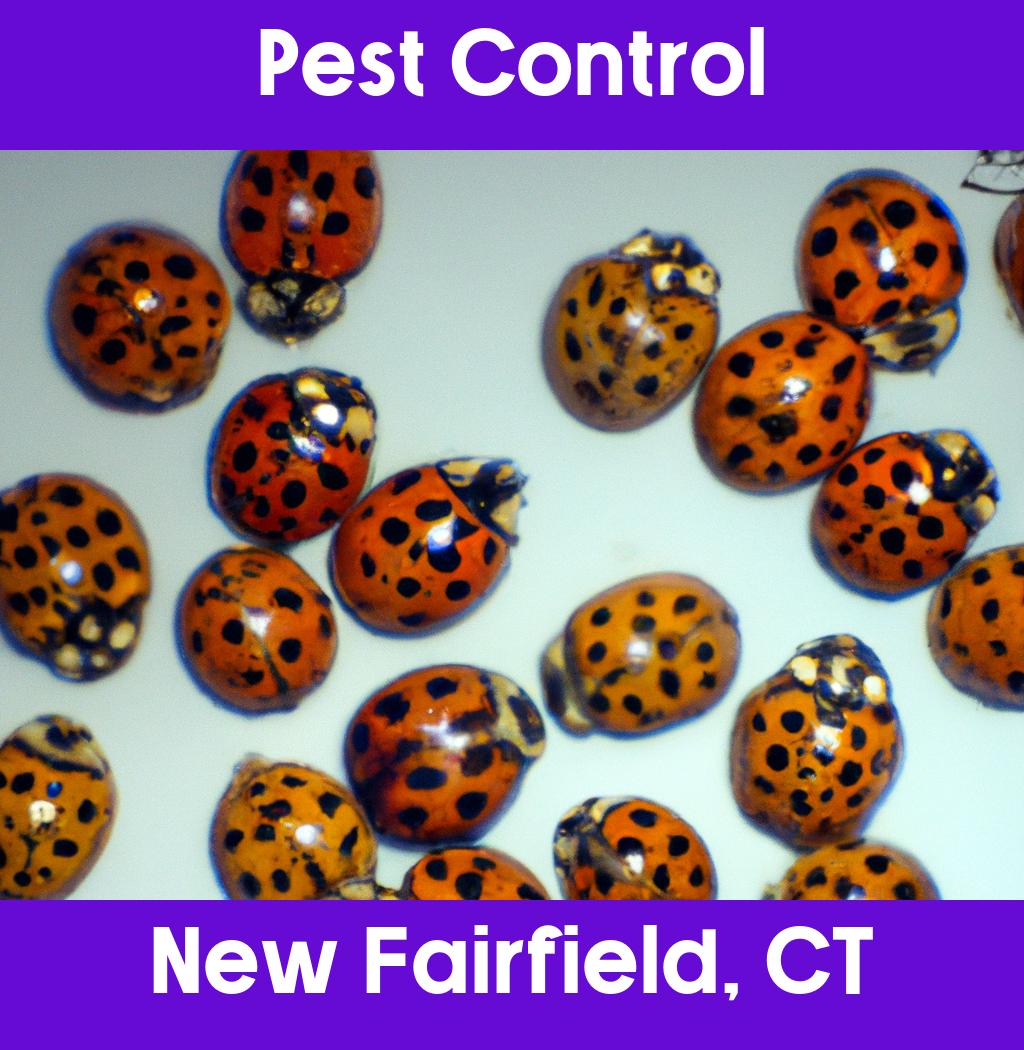 pest control in New Fairfield Connecticut