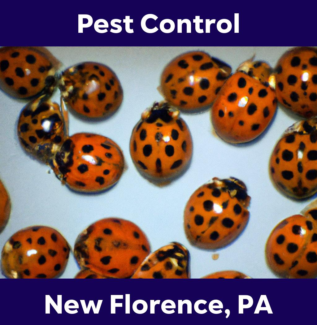 pest control in New Florence Pennsylvania