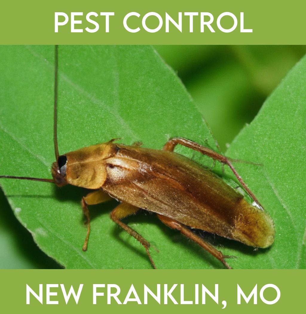 pest control in New Franklin Missouri