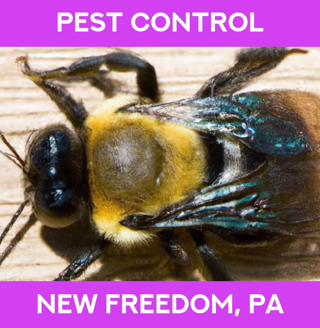 pest control in New Freedom Pennsylvania