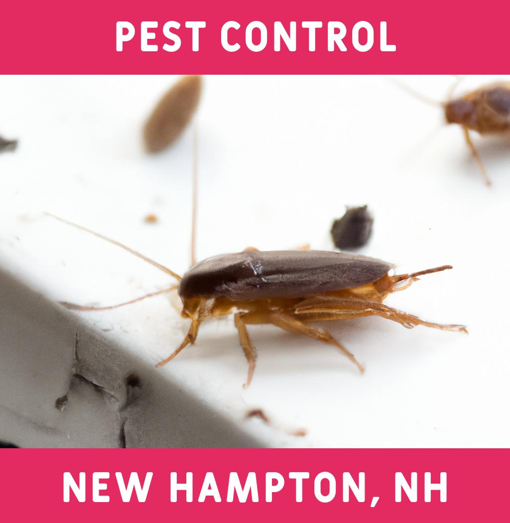 pest control in New Hampton New Hampshire