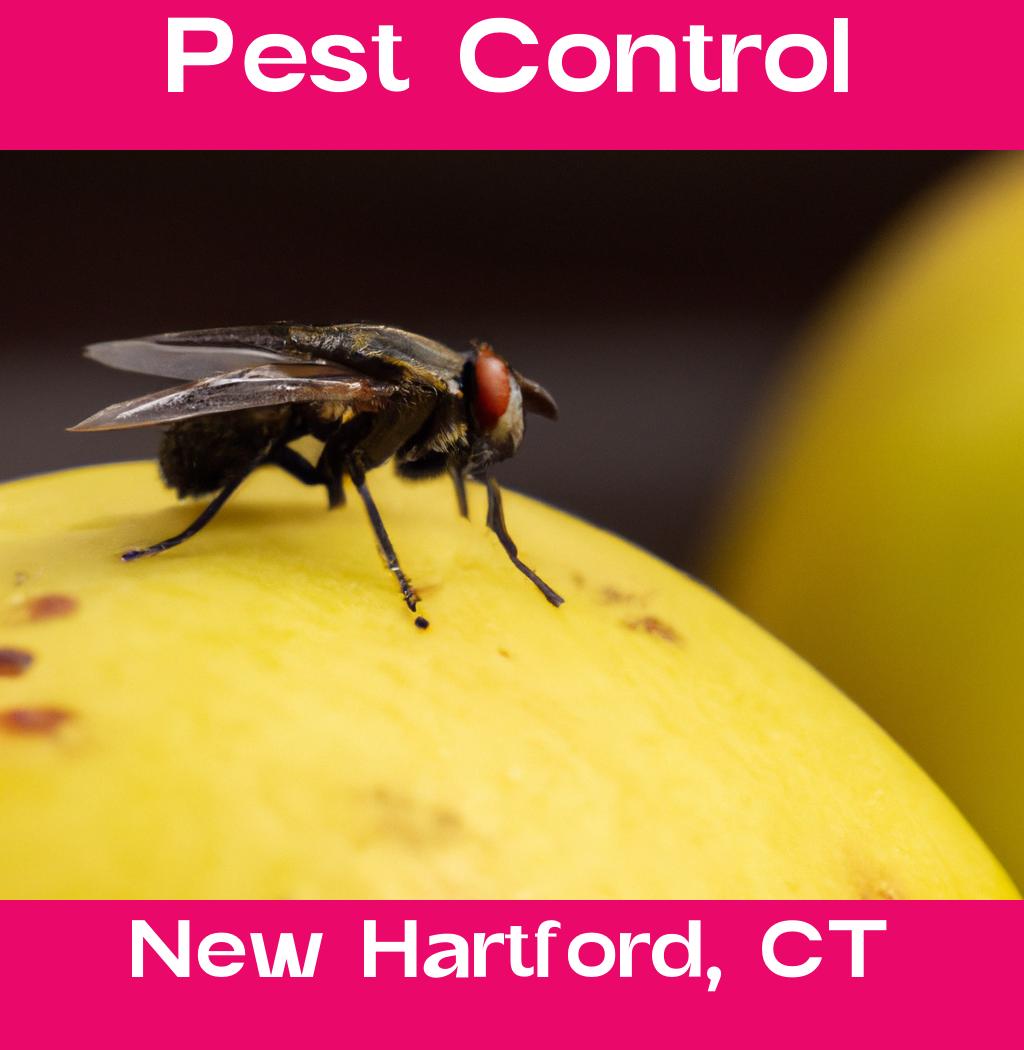 pest control in New Hartford Connecticut