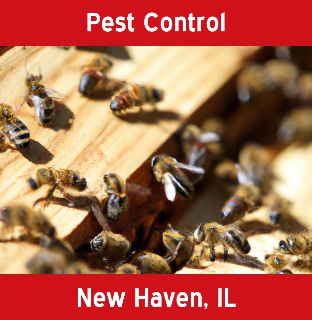 pest control in New Haven Illinois