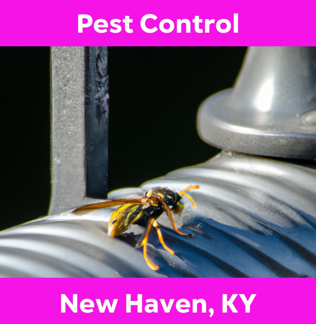 pest control in New Haven Kentucky