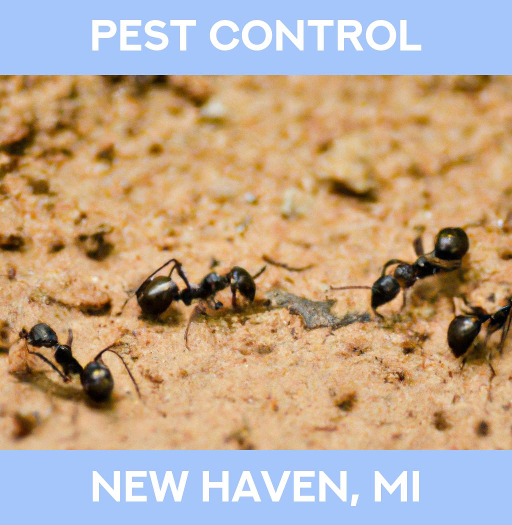 pest control in New Haven Michigan