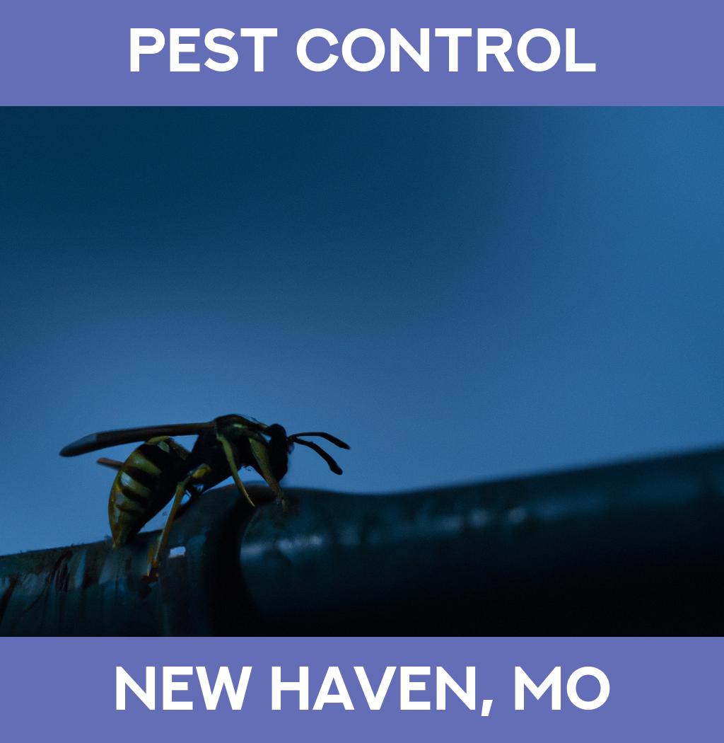 pest control in New Haven Missouri