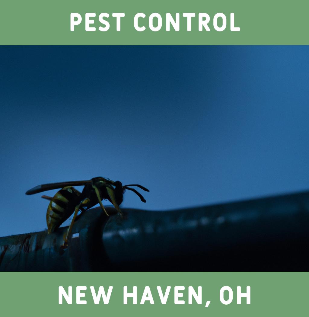 pest control in New Haven Ohio