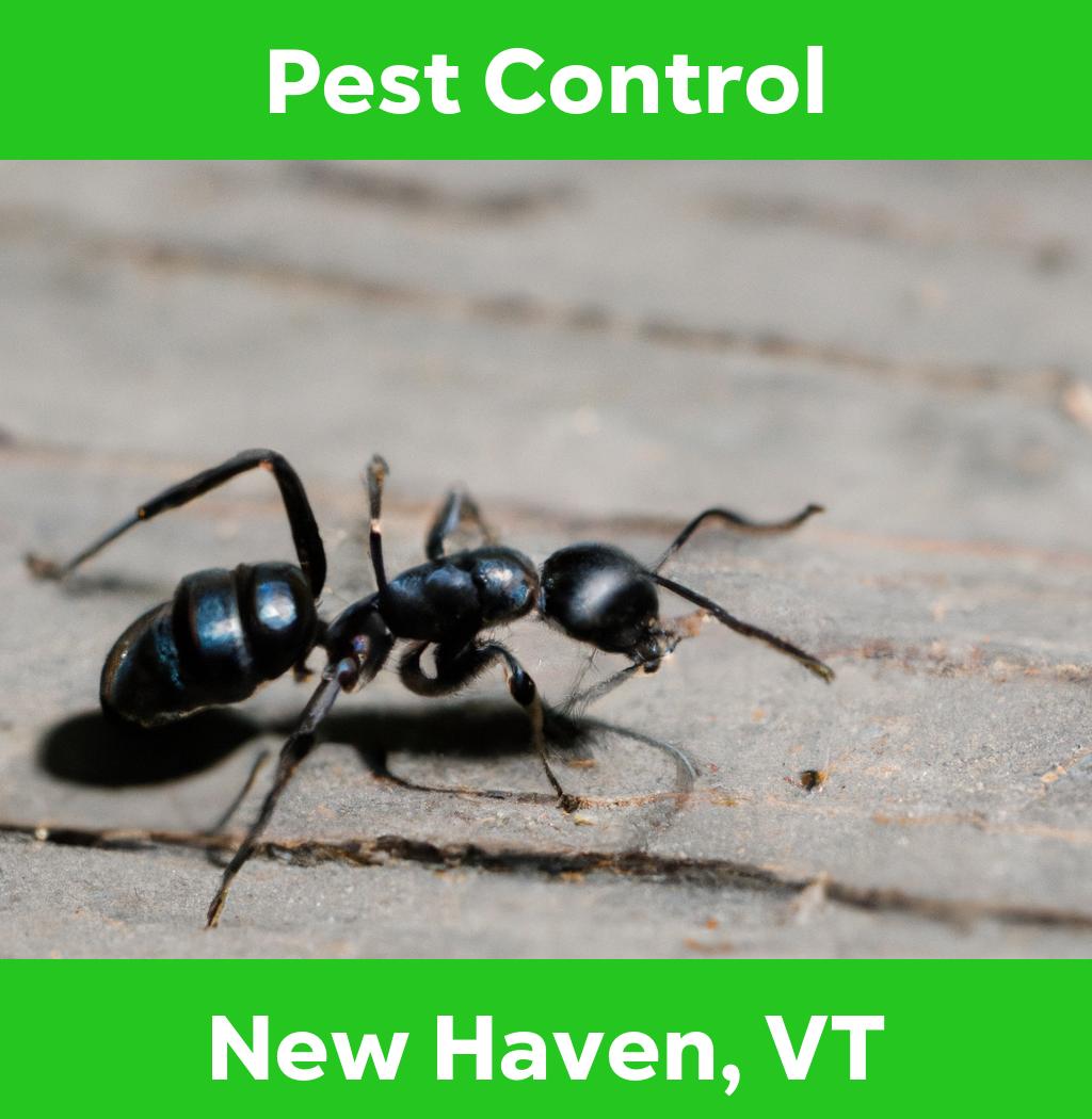 pest control in New Haven Vermont