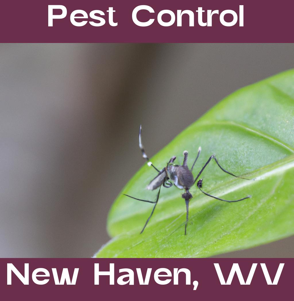 pest control in New Haven West Virginia