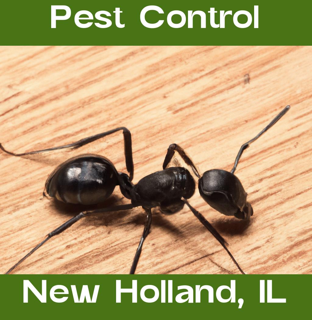 pest control in New Holland Illinois