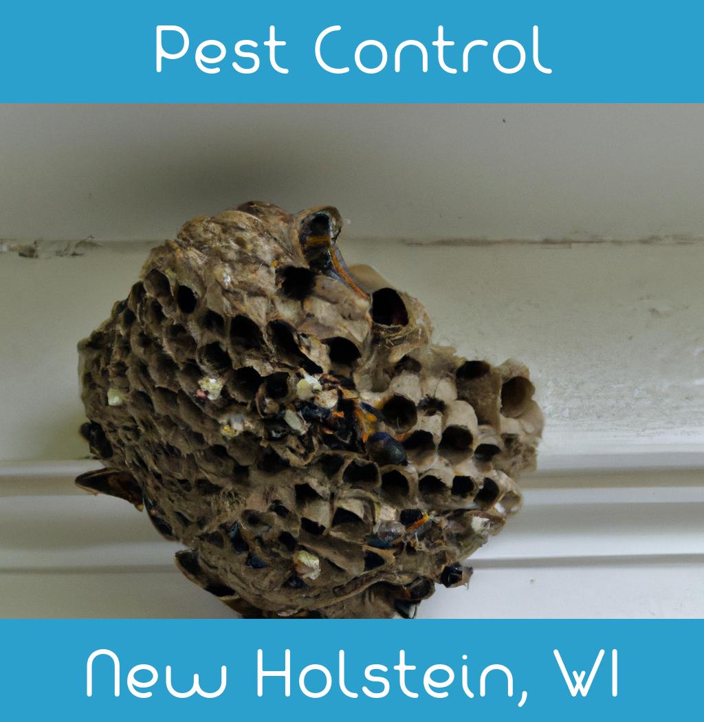 pest control in New Holstein Wisconsin