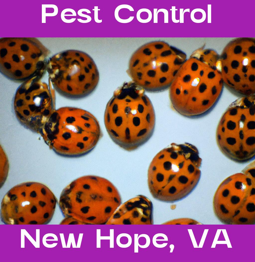 pest control in New Hope Virginia