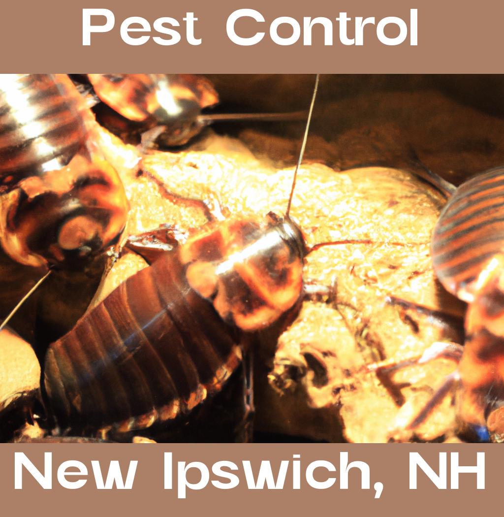pest control in New Ipswich New Hampshire