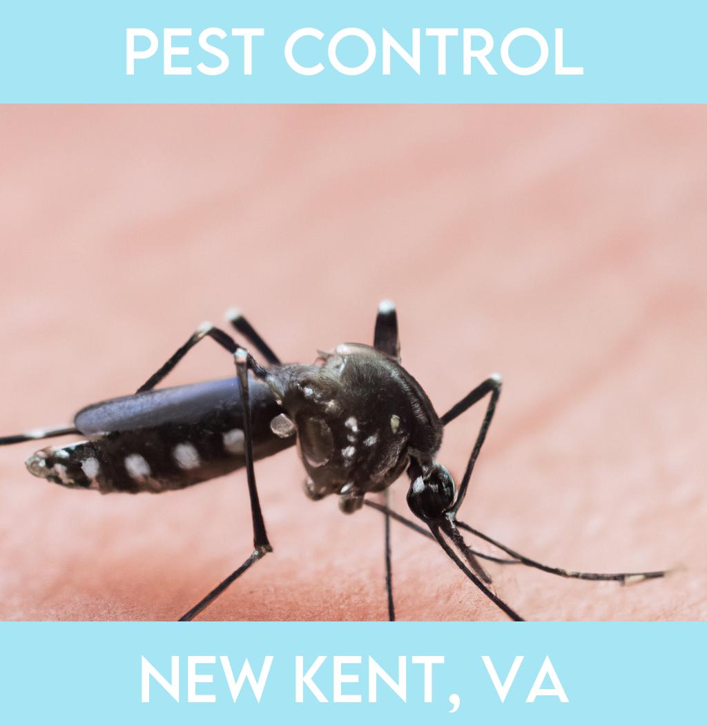 pest control in New Kent Virginia
