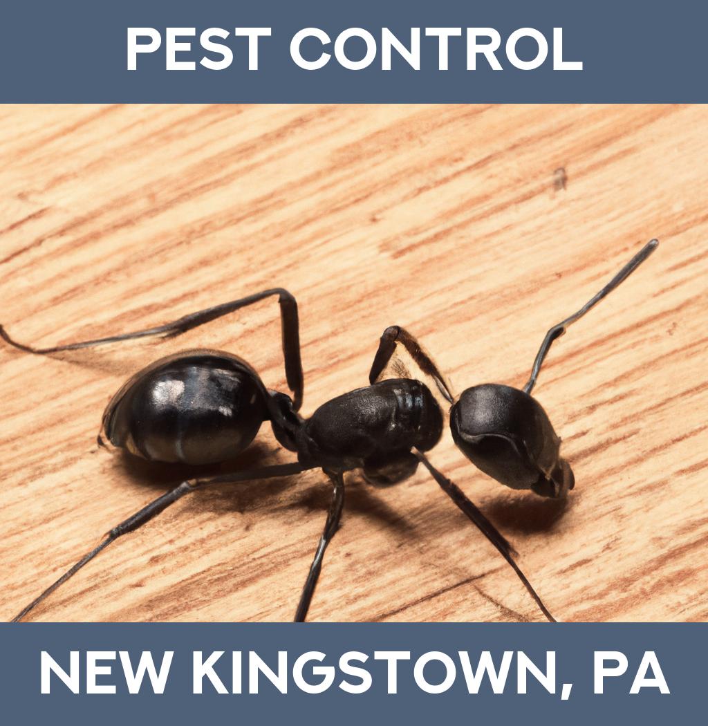 pest control in New Kingstown Pennsylvania