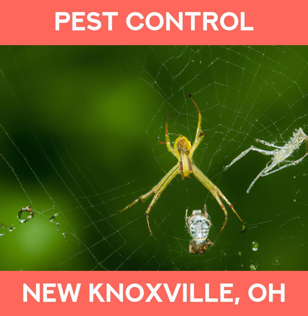 pest control in New Knoxville Ohio