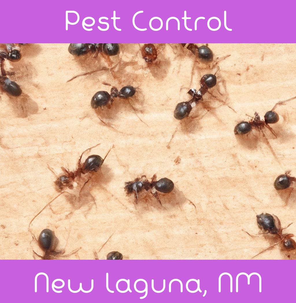 pest control in New Laguna New Mexico