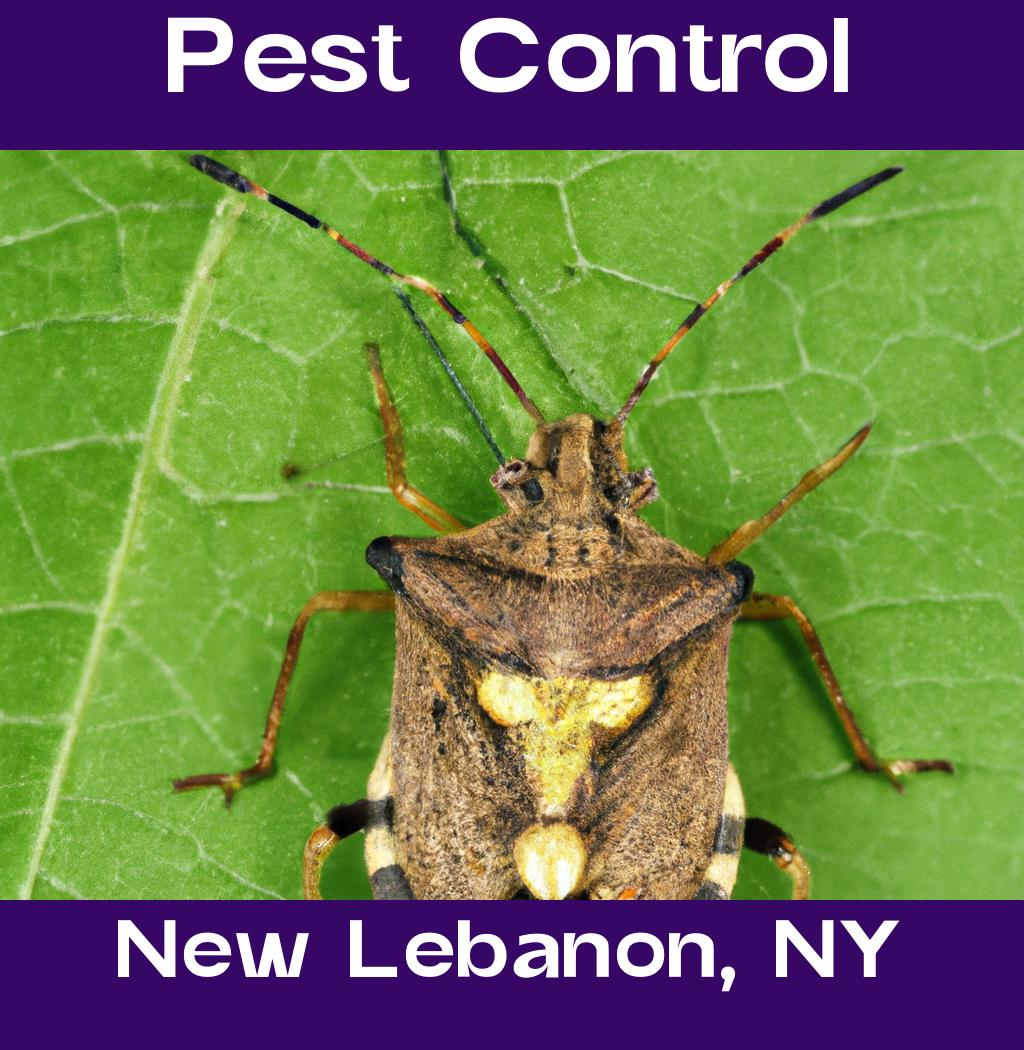 pest control in New Lebanon New York