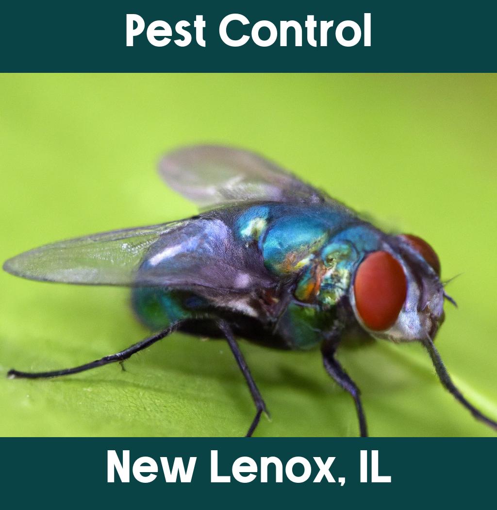 pest control in New Lenox Illinois