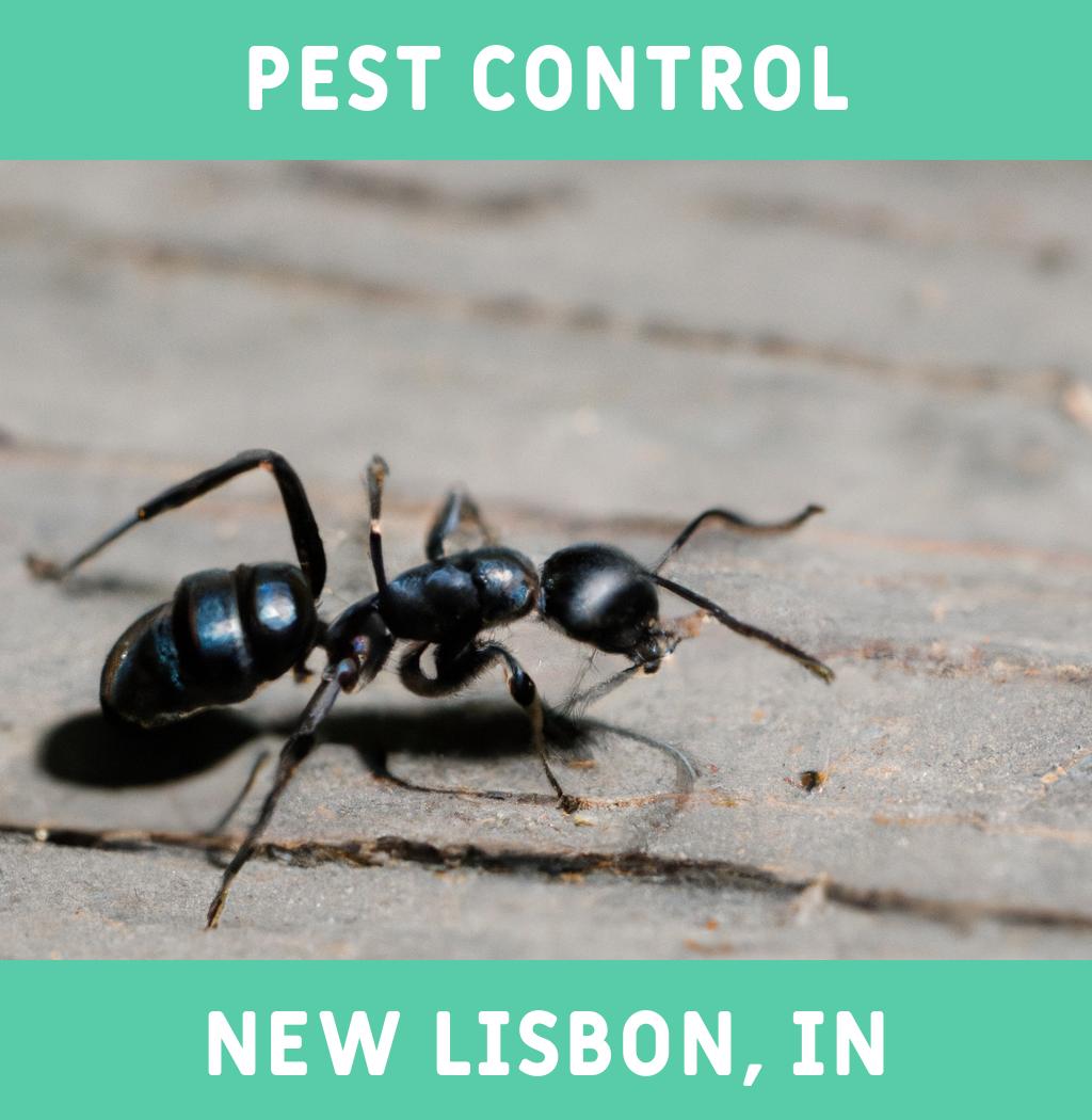 pest control in New Lisbon Indiana
