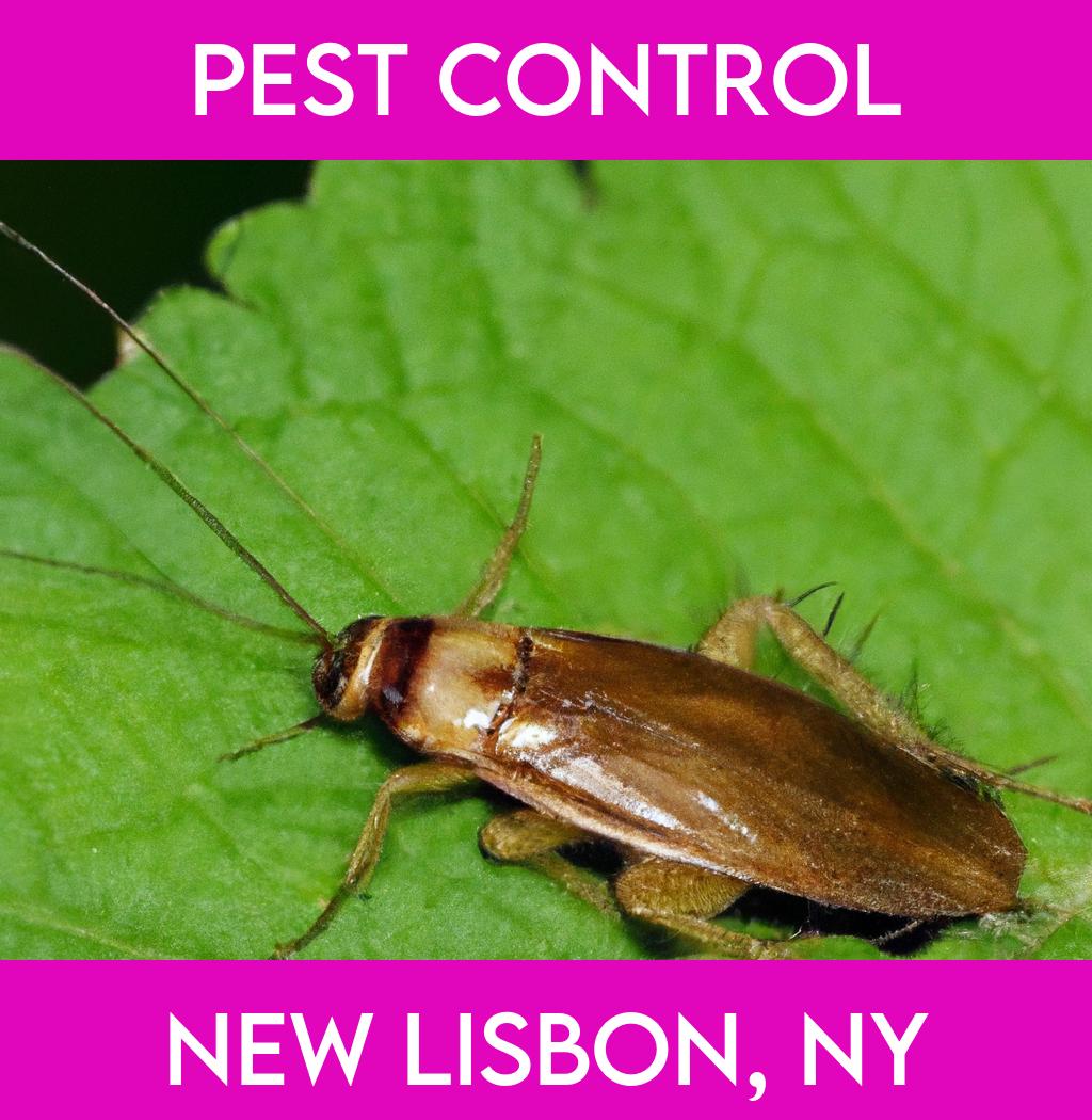 pest control in New Lisbon New York