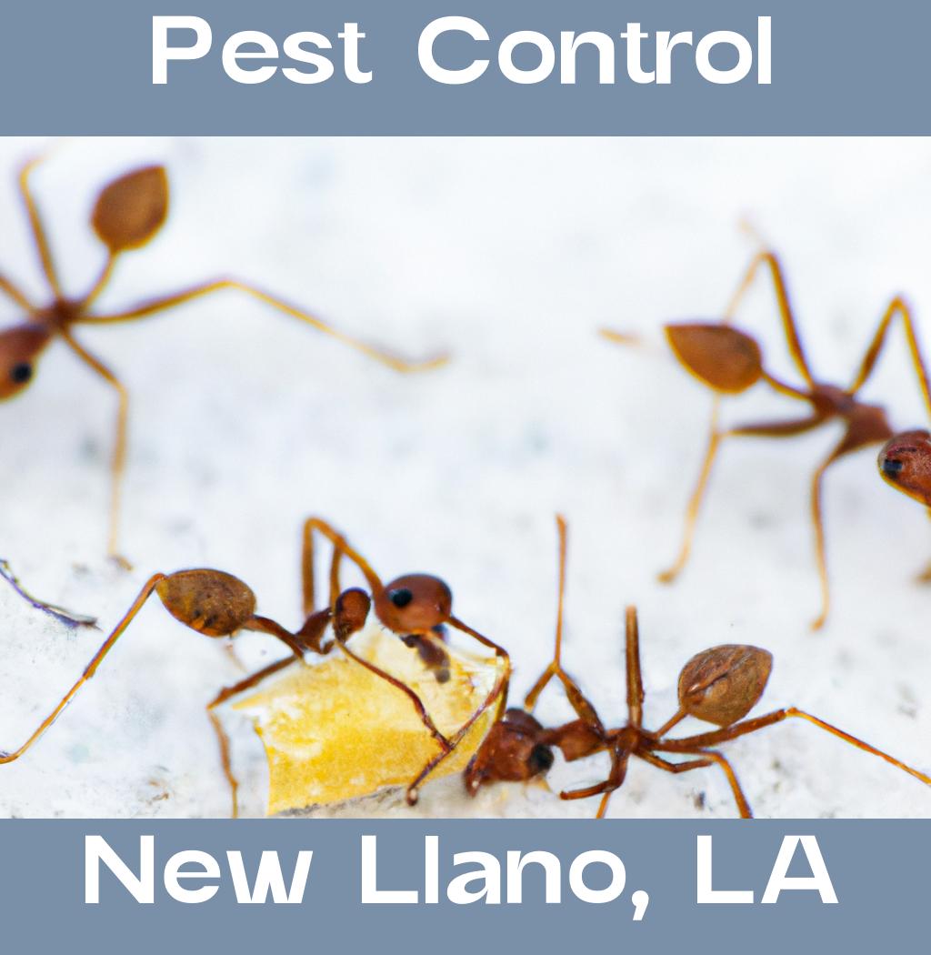 pest control in New Llano Louisiana