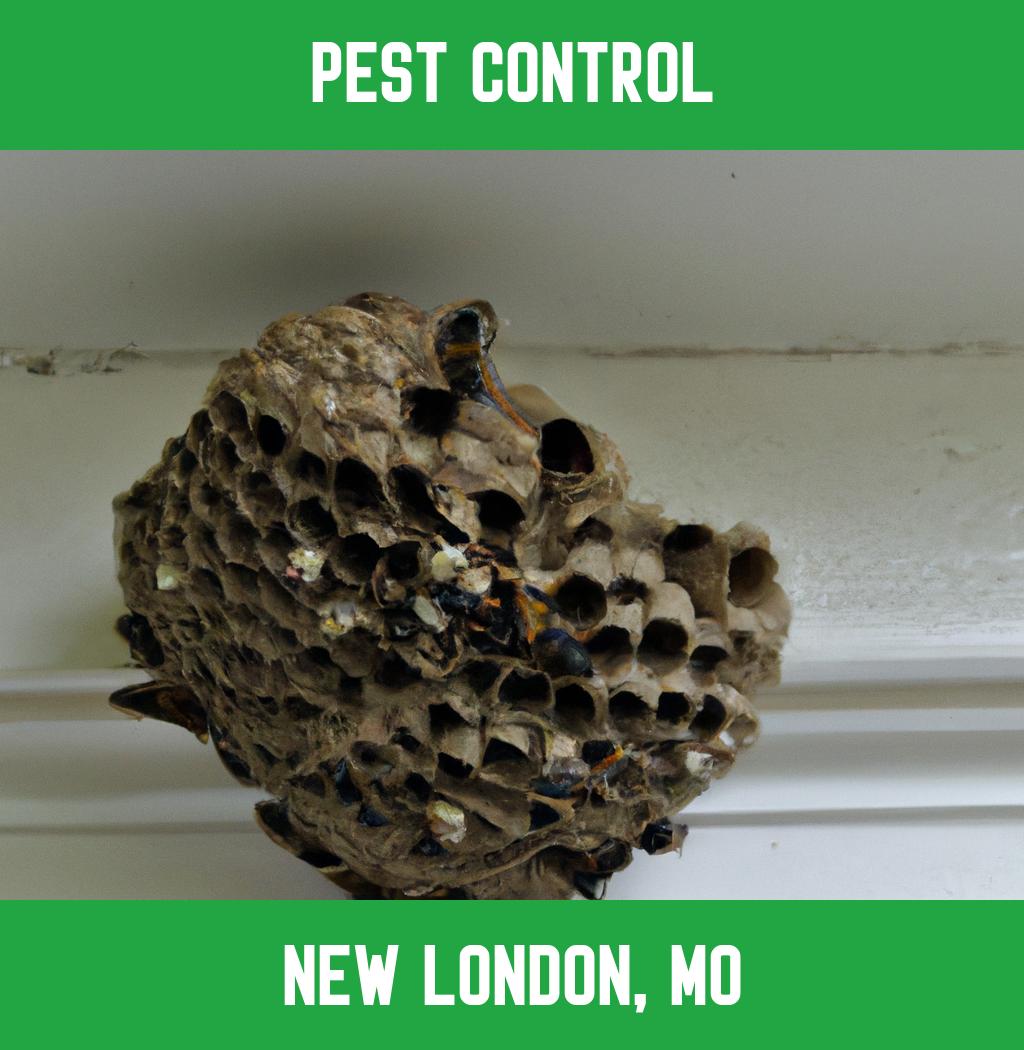 pest control in New London Missouri