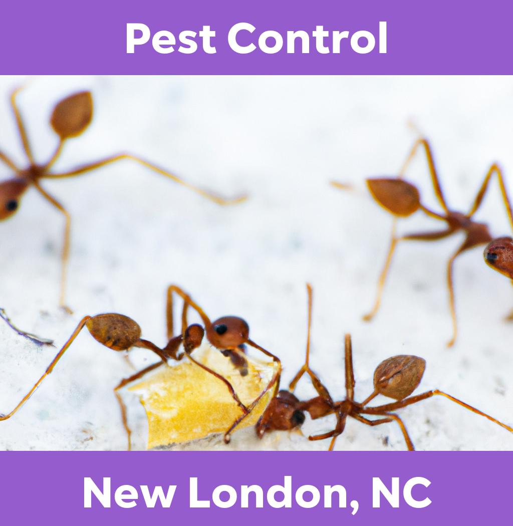 pest control in New London North Carolina