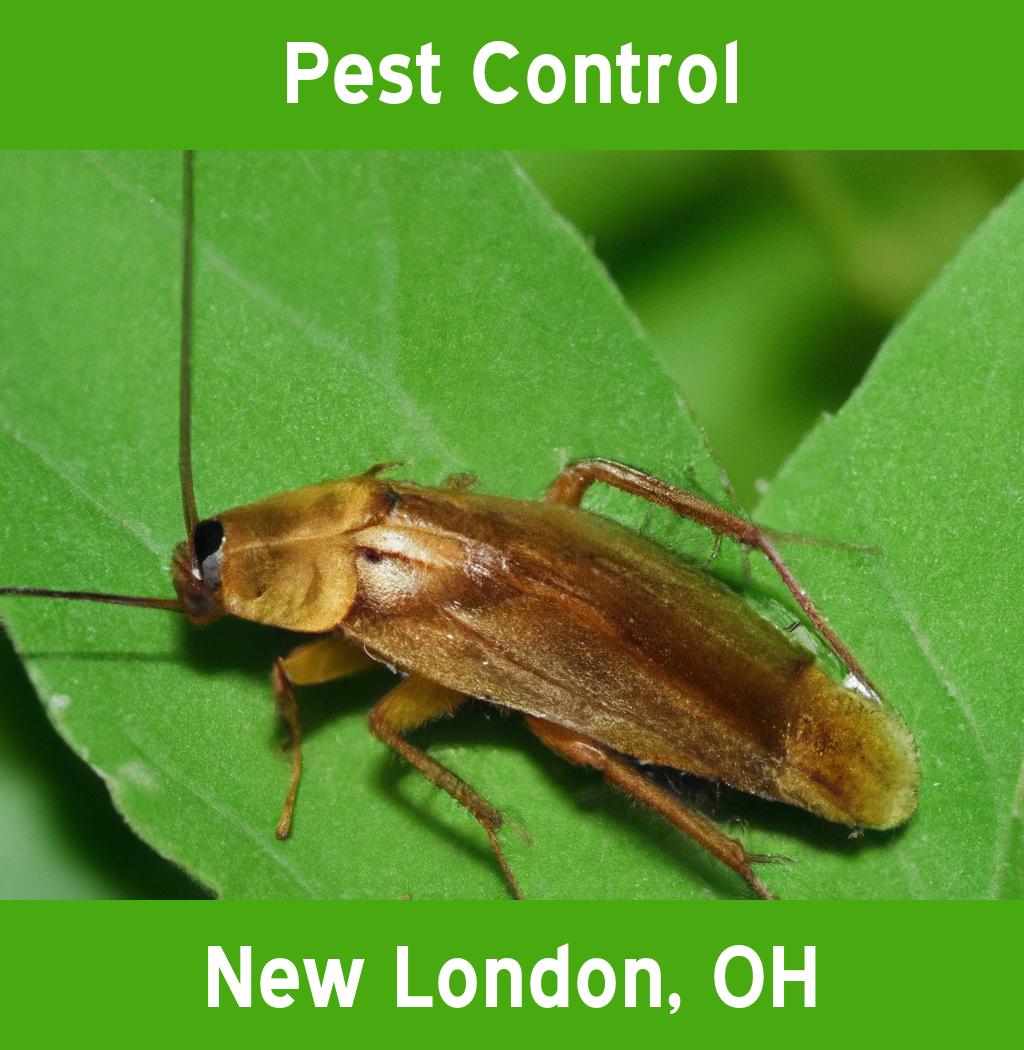 pest control in New London Ohio