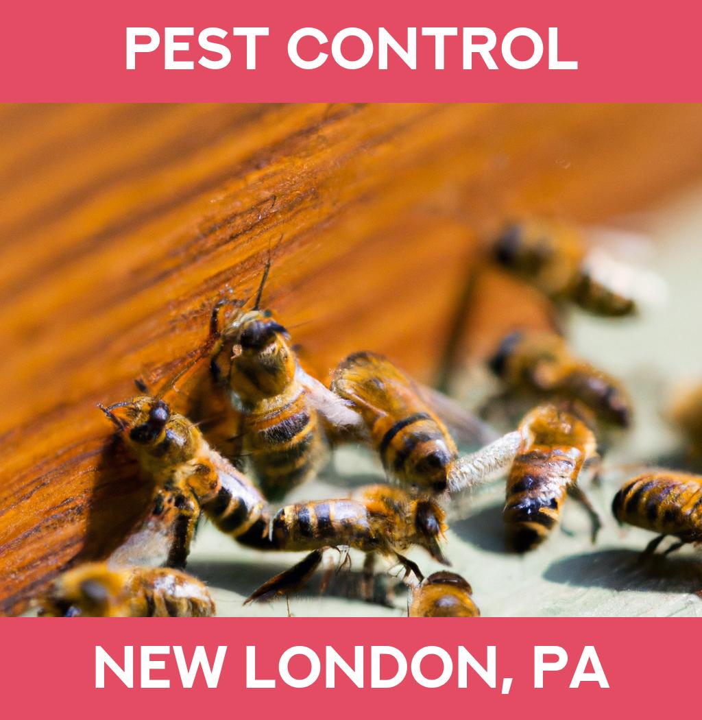 pest control in New London Pennsylvania