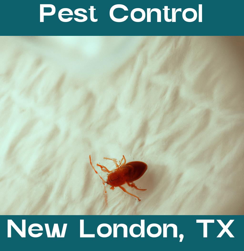 pest control in New London Texas