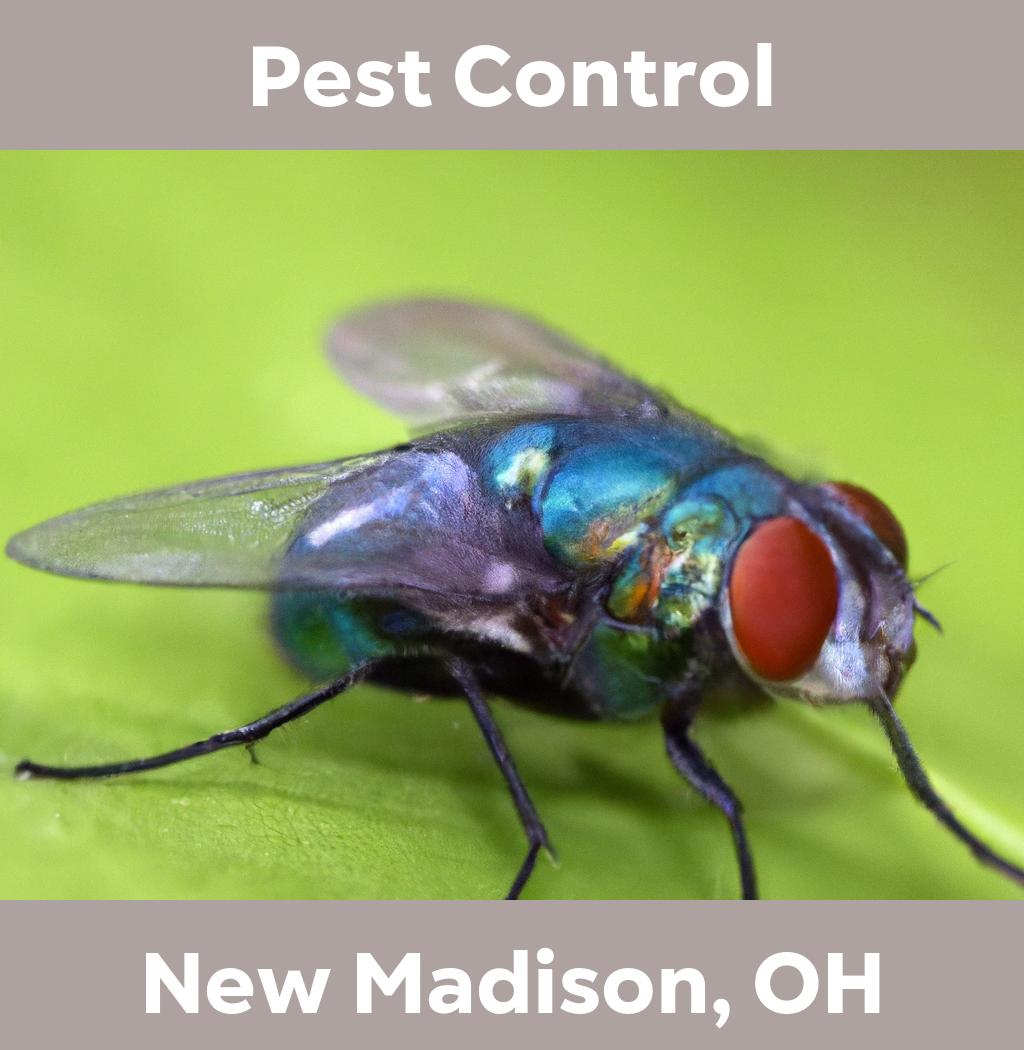 pest control in New Madison Ohio