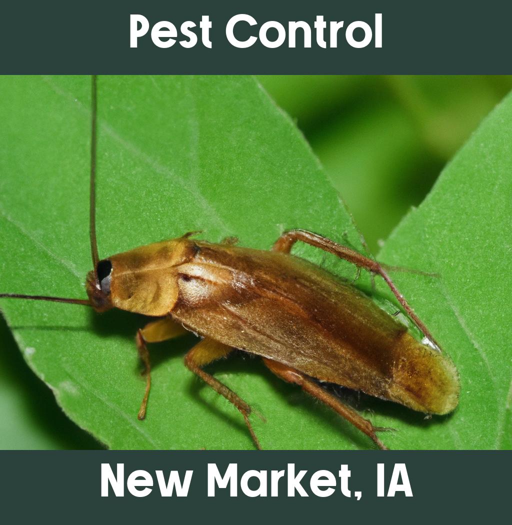 pest control in New Market Iowa