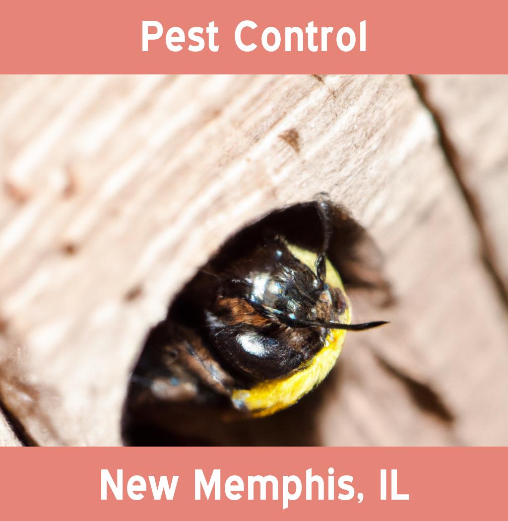 pest control in New Memphis Illinois