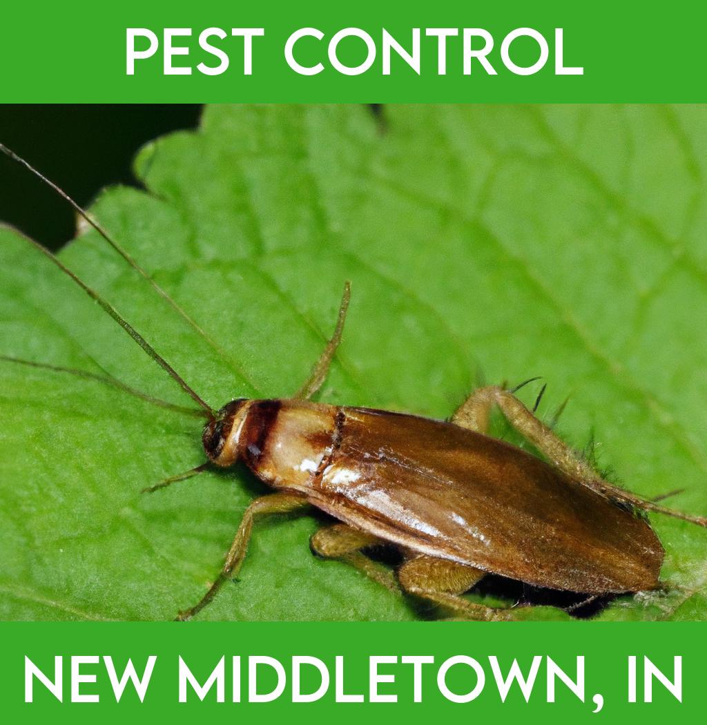 pest control in New Middletown Indiana