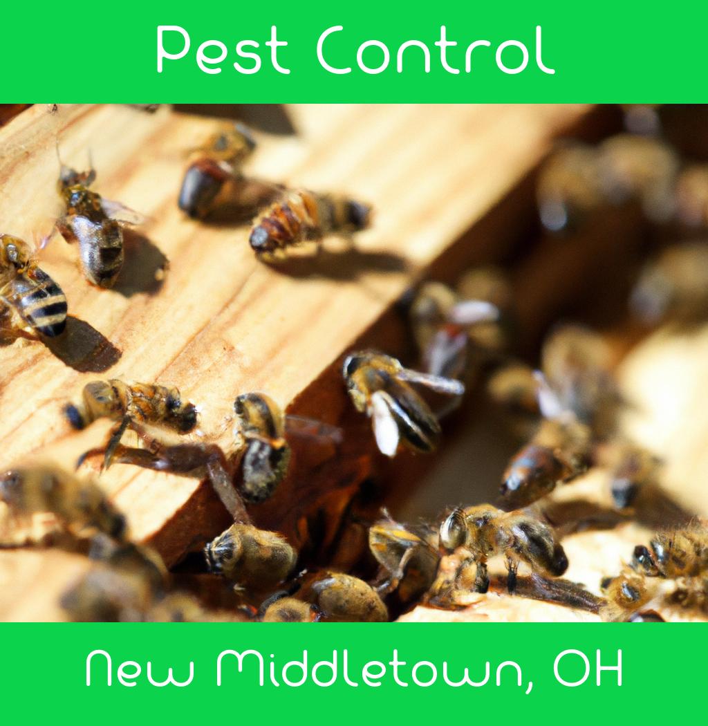 pest control in New Middletown Ohio