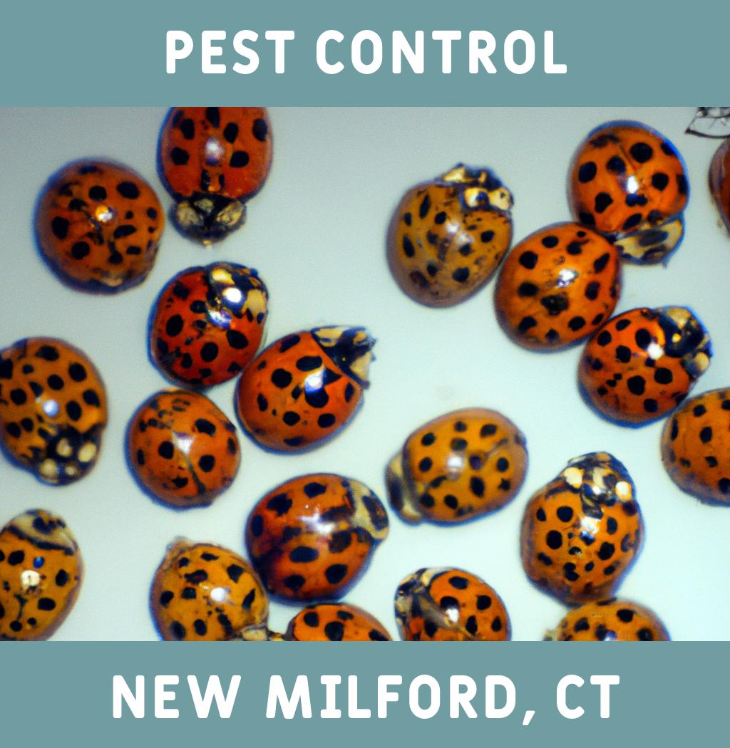 pest control in New Milford Connecticut