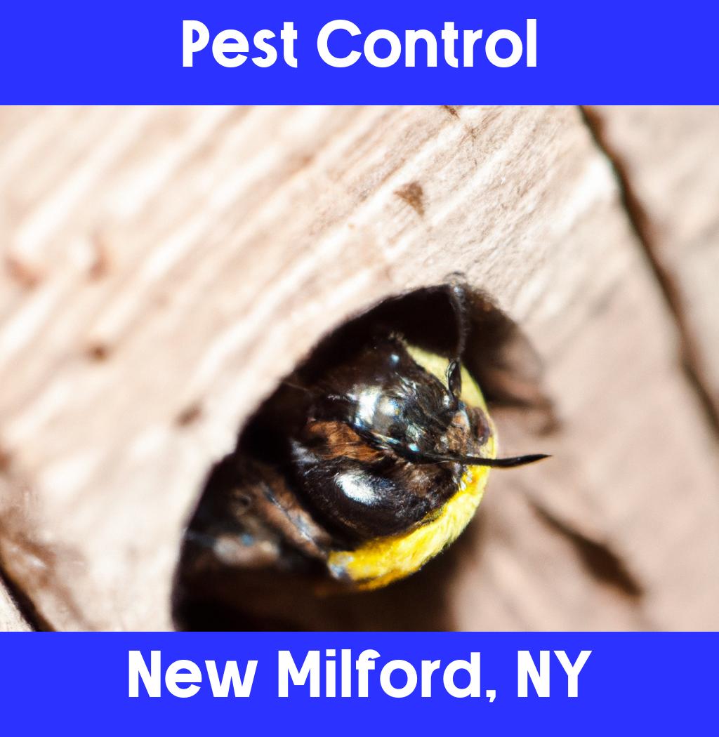 pest control in New Milford New York