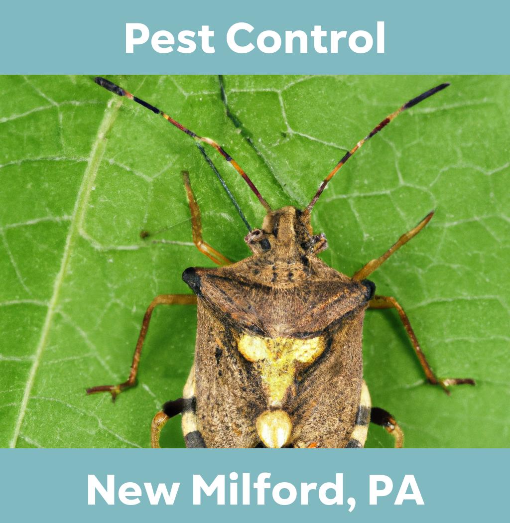 pest control in New Milford Pennsylvania