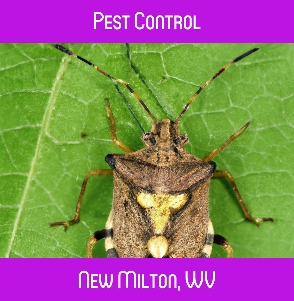 pest control in New Milton West Virginia