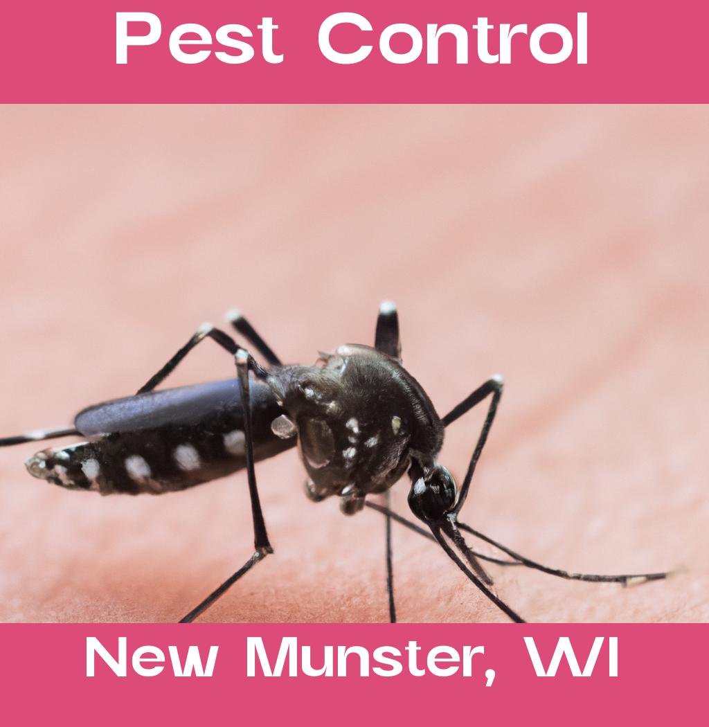 pest control in New Munster Wisconsin