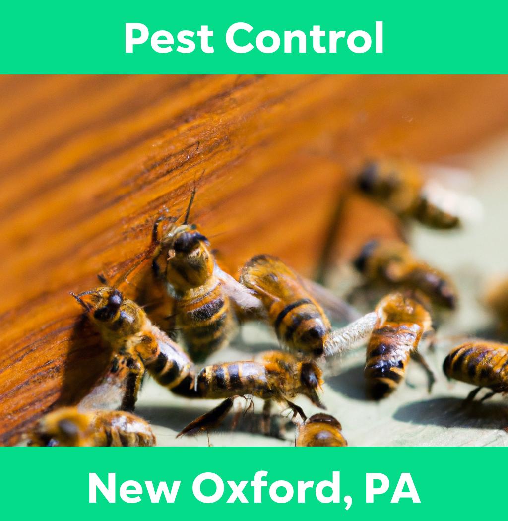 pest control in New Oxford Pennsylvania