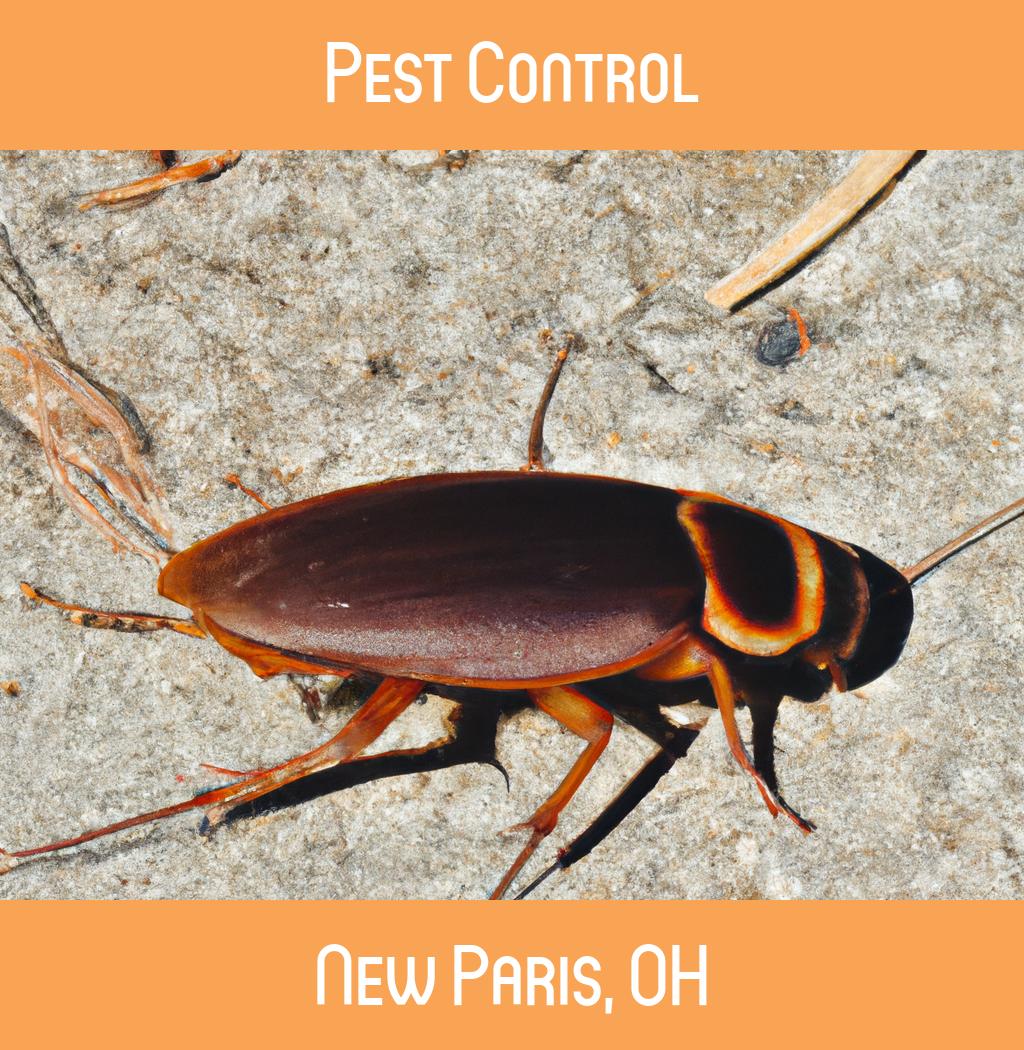 pest control in New Paris Ohio
