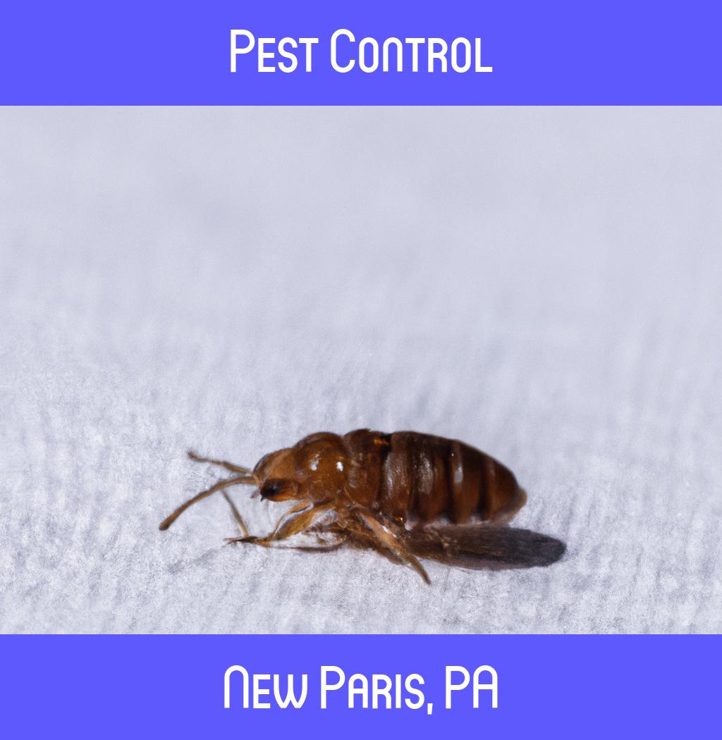pest control in New Paris Pennsylvania