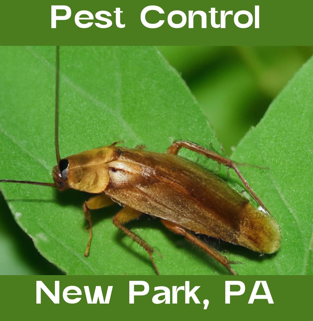 pest control in New Park Pennsylvania