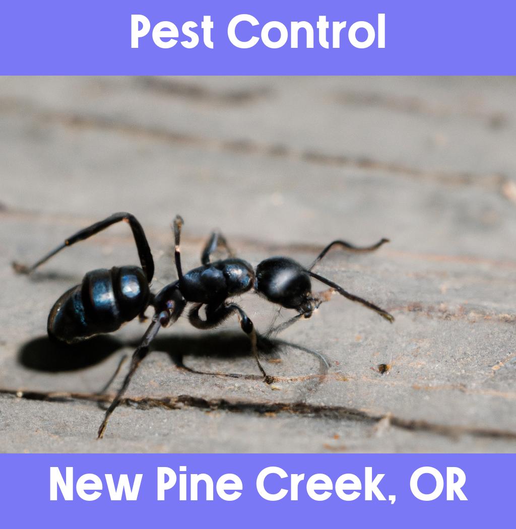 pest control in New Pine Creek Oregon