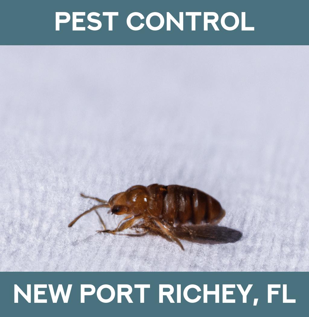 pest control in New Port Richey Florida
