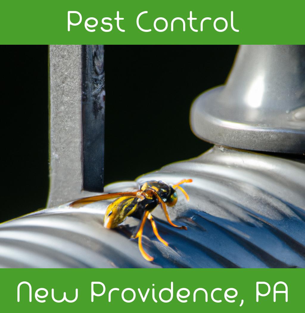 pest control in New Providence Pennsylvania