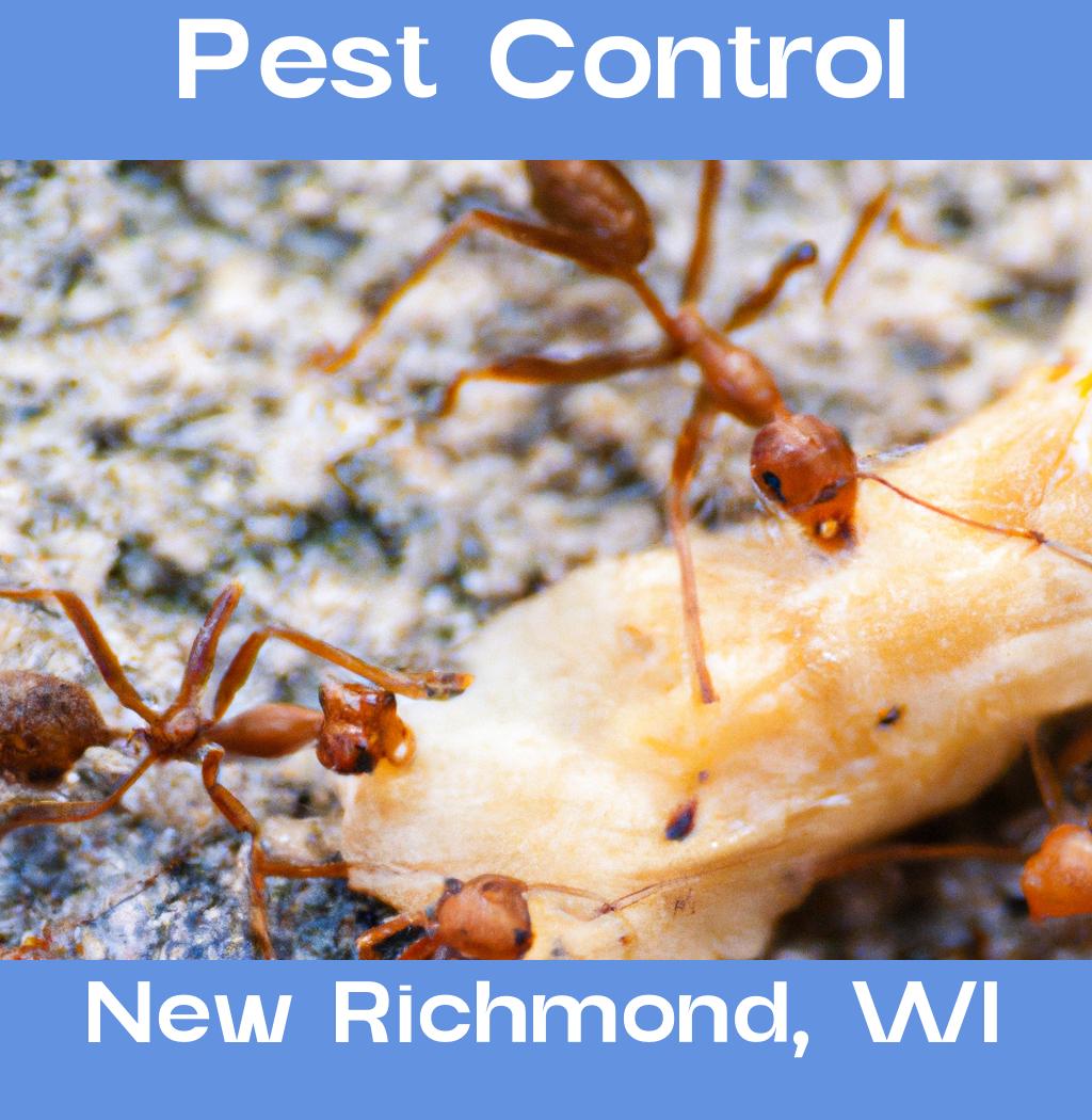pest control in New Richmond Wisconsin