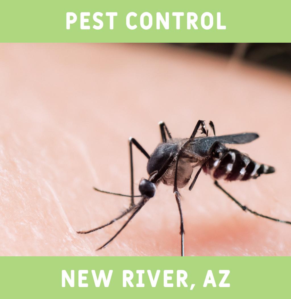 pest control in New River Arizona